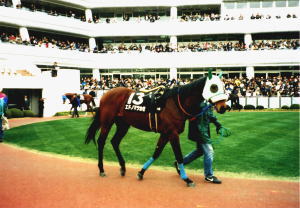 �G�h�m�}�c�J�[