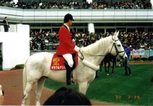 �I���N���A�X�J