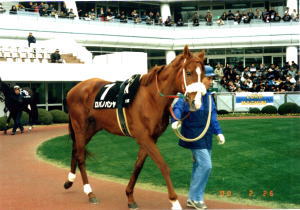 ���o�m�p����