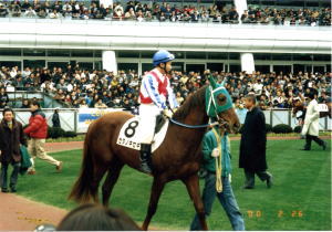 �Z�^�m�L�Z�L