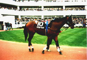 �T�N���V�[�L���O